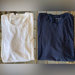 2 Large Everlane T-shirts Navy blue/white